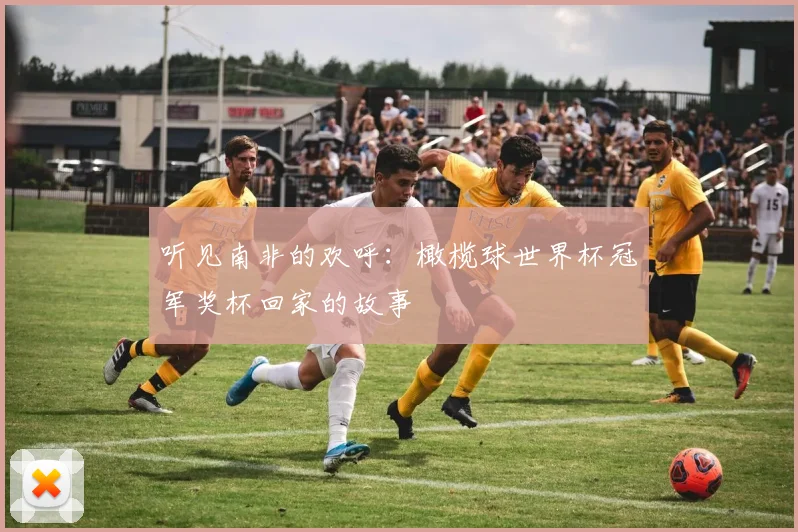 听见南非的欢呼：橄榄球世界杯冠军奖杯回家的故事