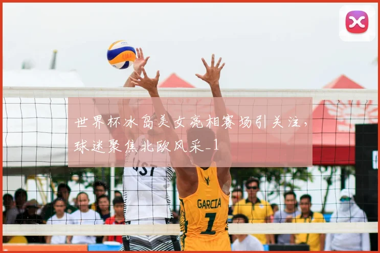 世界杯冰岛美女亮相赛场引关注，球迷聚焦北欧风采_1