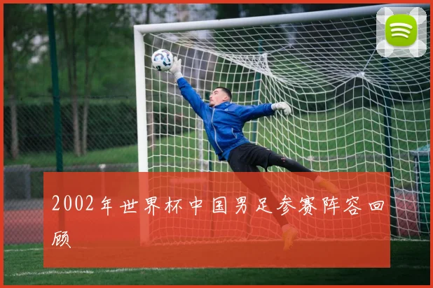 2002年世界杯中国男足参赛阵容回顾
