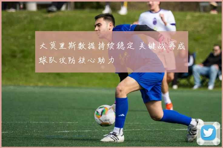 大莫里斯数据持续稳定 关键战再成球队攻防核心助力