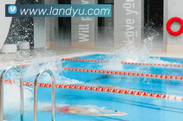 星空平台入口服务体系